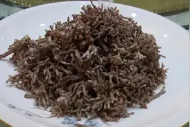 【美食淄博】蒜蓉珊瑚菇图片