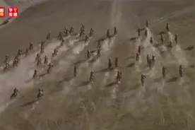 追随统帅脚步，探寻三大战役胜利之源图片