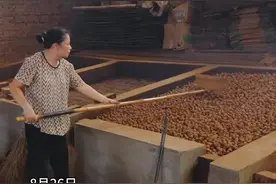 历经千年传承 莆田桂圆干传统烘焙技艺流程严谨 独具特色图片