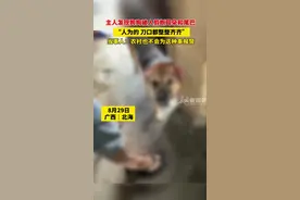 主人发现狗狗被人剪断耳朵和尾巴，“人为的，刀口都整整齐齐”，当事人：农村也不会为这种事报警图片