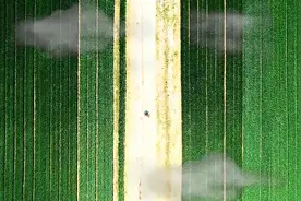 山东省泰安市岱岳区退役军人杨运洲：变装图片