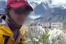 主播采摘天山雪莲还发视频炫耀？林业局回应图片