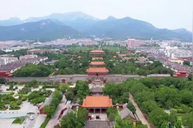 厚土丨小小红石榴，叫响“山东好品”图片