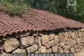 河南一职业院校围墙用石头堆砌？校方：石砌墙是周围居民的，不是学校的图片