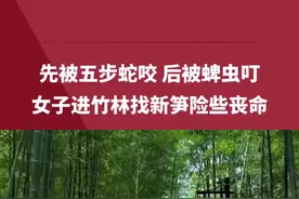 先被五步蛇咬 后被蜱虫叮 女子进竹林找新笋险些丧命图片
