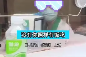 男子在医院问询时被工作人员嘲讽？上海六院：宣传部门在处理图片