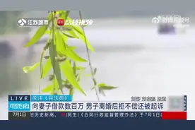 丈夫向妻子借款百万离婚后拒还！法院：没有借条但借款证据充足图片
