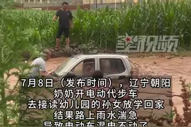 惊险！奶奶接孙女放学被雨冲走，众人急救援图片