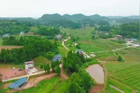 【回村的年轻人④】记者微评：广阔天地 大有作为图片