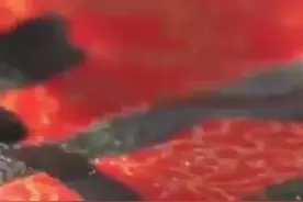 微视频｜“新时代的马可·波罗”图片