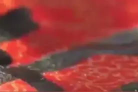 微视频｜“新时代的马可·波罗”图片