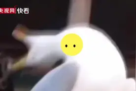 世界微笑日 快乐就是最大的意义图片