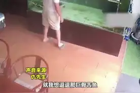男子将手伸进鱼缸想摸摸鱼 结果被“猛鱼”咬了11道口子图片