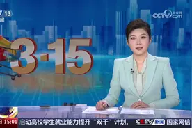 “全国消协智慧315平台”正式运行 有什么功能？一文快速掌握！图片
