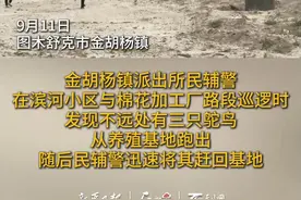 鸵鸟：世界那么大我想去看看 民警：“别看了，回家！”图片