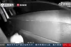 荒唐！男童开卡丁车上马路妈妈开车护航图片