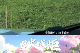 星火成炬｜为向上的生命力而感动图片