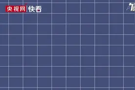 【够科普】不同颜色的小番茄营养有何区别？图片