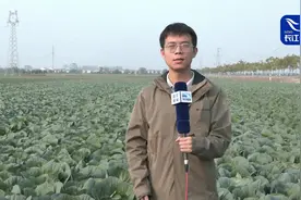 习语润荆楚丨农村天地广阔 农业大有可为！图片