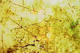 辐轮王土拨鼠全球10大最顶级山地自行车成人单车品牌排名图片