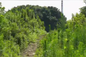 “行进中国”调研行·创新江苏｜全地形车是什么车？图片