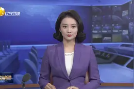李乐成在鞍山辽阳调研重大项目建设情况图片
