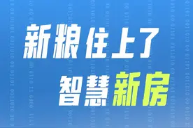 百姓看联播丨新粮住上了智慧“新房”图片