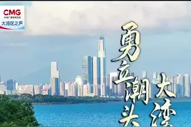 勇立潮头大湾区 | 像爱护眼睛一样！这座繁华大都市中有候鸟天堂图片