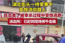 湖北街头一待宰黄牛受惊冲向路人，目击者：被宰杀过程中受惊逃跑，派出所：已赶到现场将牛击毙图片