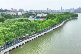 惬意！在武汉东湖绿道赏“水下森林”图片