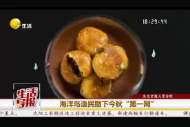 东北老妹儿带你吃丨海洋岛渔民撒下金秋”第一网“图片