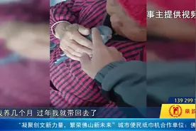 4000元一只的鹦鹉飞走了！国家二级保护动物能养吗？图片