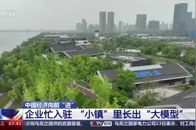 中国经济向前“进”丨小镇里的“大模型” 这里有100万台电脑的算力→图片
