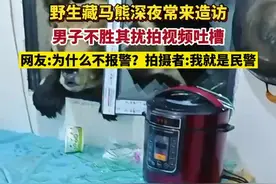 野生藏马熊深夜来造访，男子不胜其扰拍视频吐槽，网友：为什么不报警？拍摄者：我就是民警图片