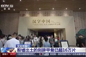 文化中国行丨“拼图”→“解码” 数字技术让甲骨文活起来图片