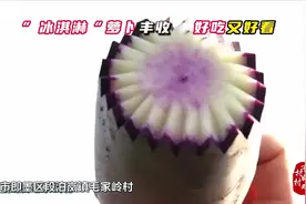 青岛市即墨区：“冰淇淋”萝卜助农增收致富图片