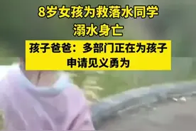 为救落水同学 8岁女孩不幸溺亡图片