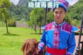 铸牢共同体 中华一家亲 | 德保矮马！小短腿大战功图片