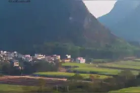省时省力省人工！全流程机械化让甘蔗事业更甜蜜图片