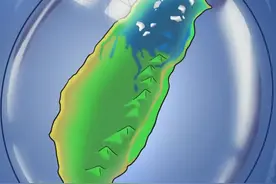东部战区发布动漫壳图片