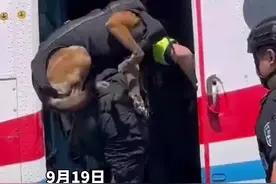 【神犬奇兵从天而降！长沙公安特巡警“神犬奇兵”实战训练，特警携带警犬从直升机索降】图片