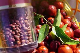 百姓看联播丨酸枣仁“拯救”你的睡眠图片