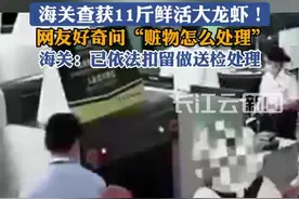 海关查获11斤鲜活大龙虾 网友好奇问“赃物怎么处理”海关：已依法扣留做送检处理图片