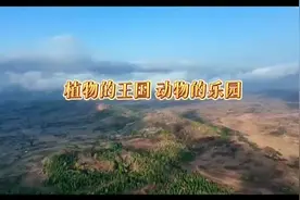 动物的乐园 植物的王国图片