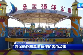 【致敬劳动者】海洋动物驯养师与保护者的故事图片