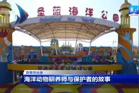 【致敬劳动者】海洋动物驯养师与保护者的故事图片