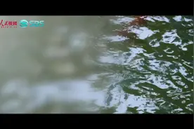 运河之城｜寻梦苏州图片