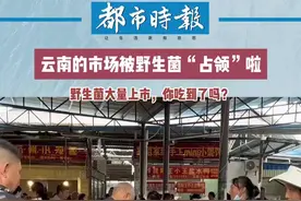 【春城18时周刊】来昆明，感受汪曾祺笔下的雨季图片