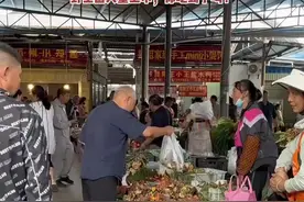 【春城18时周刊】来昆明，感受汪曾祺笔下的雨季图片