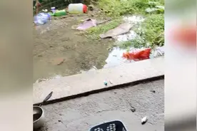 洪水过后女子家中密密麻麻全是鱼！网友：吃不完，根本吃不完图片